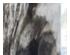 195962_2 thumbnail image