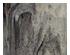 195962_6 thumbnail image