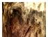 195962_7 thumbnail image