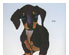 196126_2 thumbnail image
