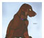 196126_4 thumbnail image