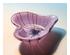 196551_6 thumbnail image