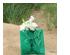 197146_6 thumbnail image