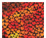 198113_1 thumbnail image