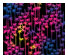 198116_2 thumbnail image