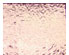 200052_1 thumbnail image