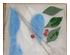 200666_5 thumbnail image