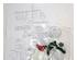 201308_1 thumbnail image