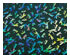 201814_1 thumbnail image