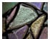 202336_3 thumbnail image