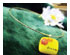 202388_2 thumbnail image