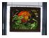 202462_1 thumbnail image