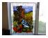 202462_3 thumbnail image