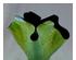 204289_6 thumbnail image