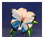 204423_1 thumbnail image