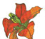 204572_1 thumbnail image