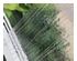 205348_3 thumbnail image
