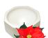 205616_1 thumbnail image