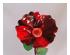 205616_8 thumbnail image