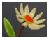 205621_6 thumbnail image