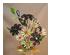 205621_7 thumbnail image