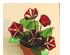 205625_5 thumbnail image