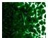 205732_1 thumbnail image