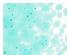 205748_1 thumbnail image