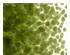 205754_1 thumbnail image