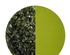 205754_3 thumbnail image