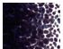 205796_1 thumbnail image