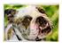 205798_4 thumbnail image