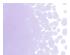205834_4 thumbnail image