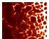 205862_1 thumbnail image