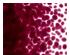 205865_1 thumbnail image
