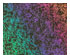 206576_1 thumbnail image