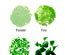 206739_1 thumbnail image