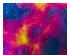 206900_1 thumbnail image