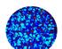 206953_3 thumbnail image