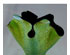 207143_3 thumbnail image