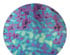 207189_3 thumbnail image