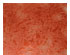 207615_1 thumbnail image