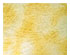 207617_1 thumbnail image