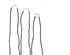 208353_5 thumbnail image