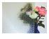 209065_1 thumbnail image