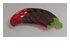209240_1 thumbnail image