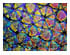 209415_3 thumbnail image