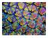 209415_5 thumbnail image