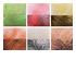 209860_2 thumbnail image