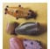209932_1 thumbnail image